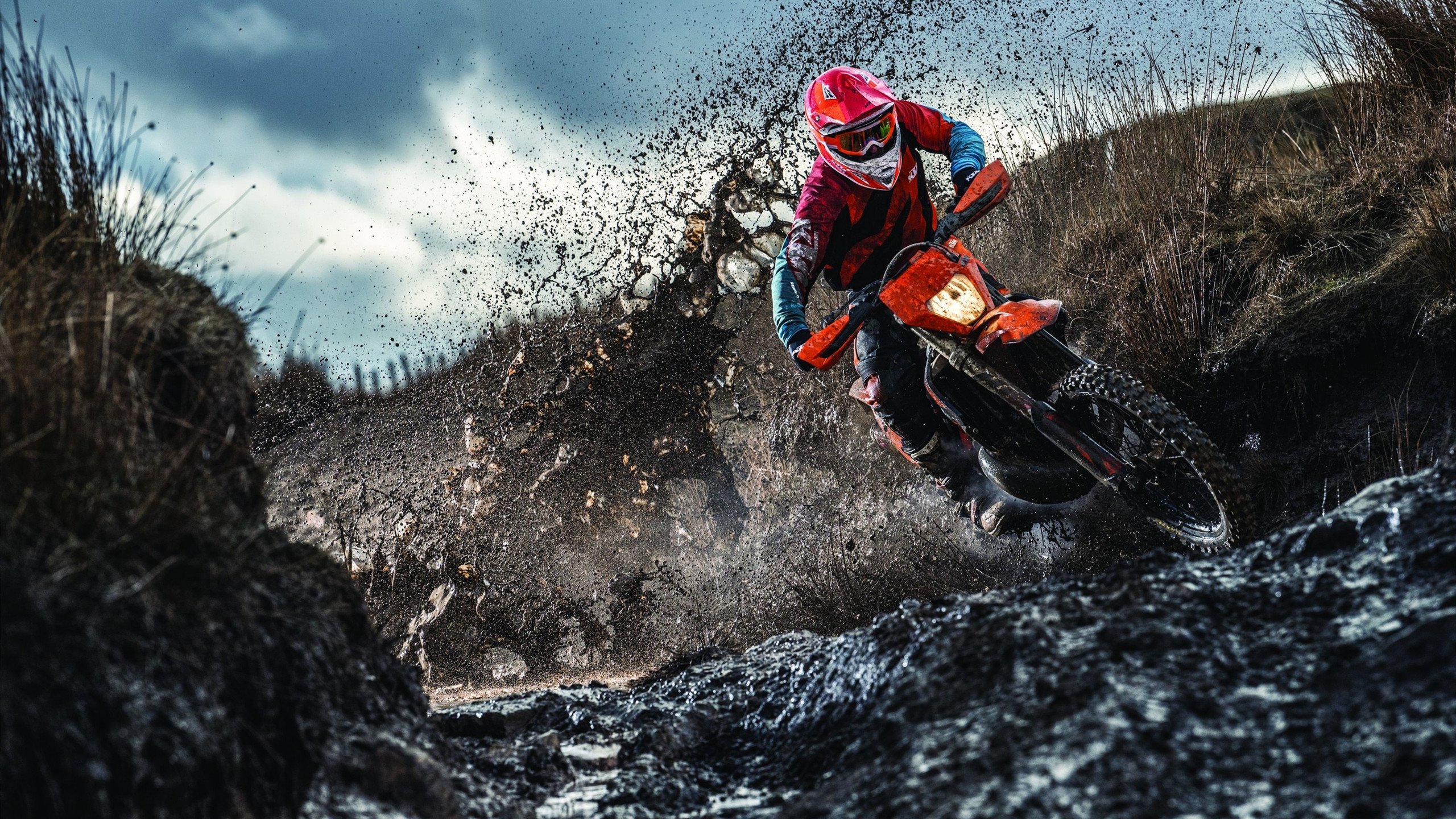 湖人拿下雷霆，利拉德发挥堪称完美，当孤星照亮紫金军团